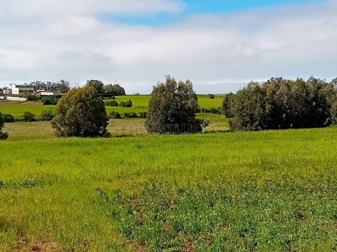 أرض 5500 م² للبيع في الجديدة — Photo 15