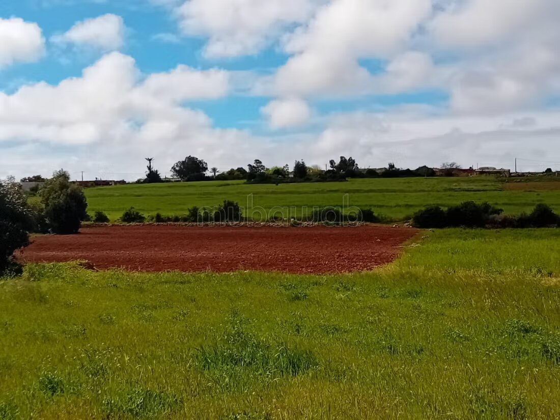 أرض 5500 م² للبيع في الجديدة — Photo 17