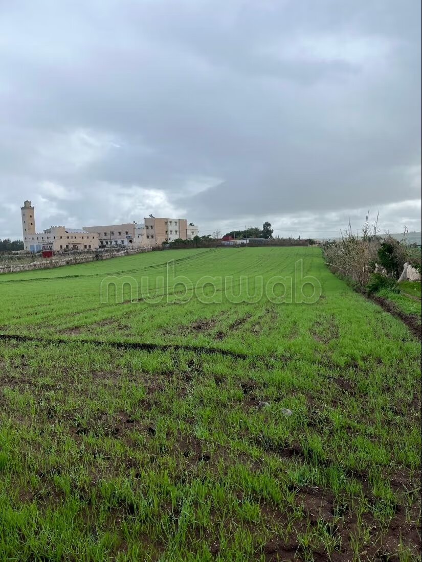 أرض 5500 م² للبيع في الجديدة — Photo 18