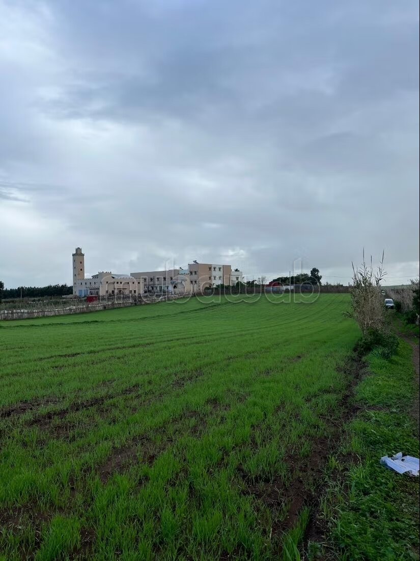 أرض 5500 م² للبيع في الجديدة — Photo 20