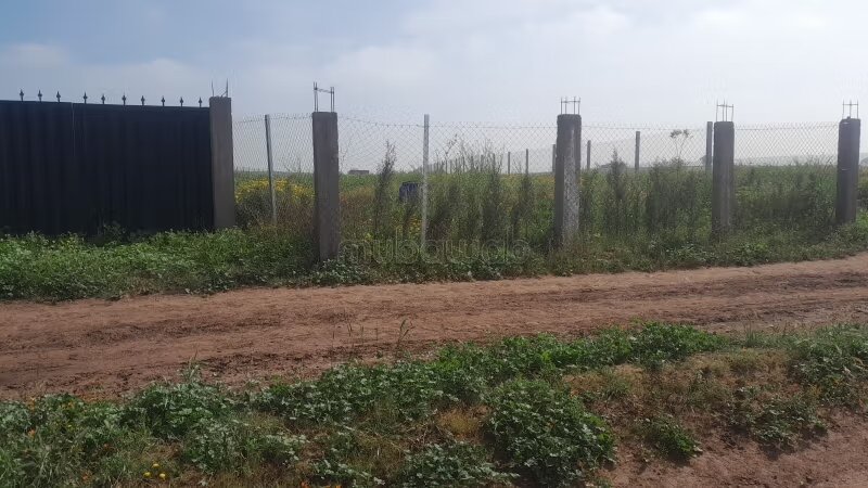 Ferme 4380 m² à vendre à Casablanca — Photo 3