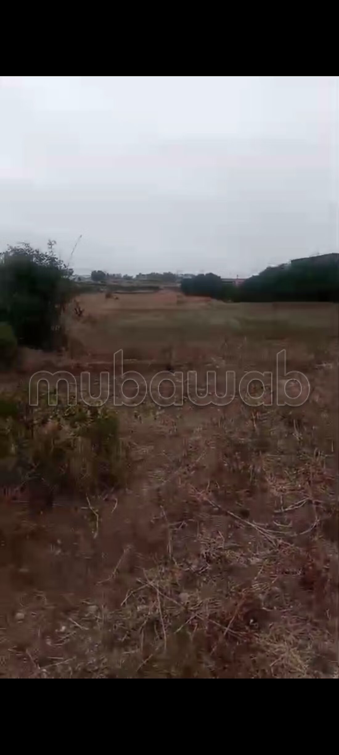 Farm 130,000 m² for sale in Hadd Soualem — Photo 3