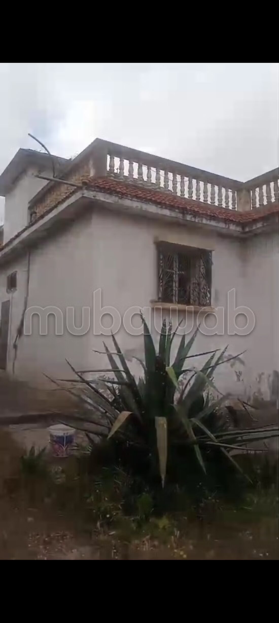 Farm 130,000 m² for sale in Hadd Soualem — Photo 6