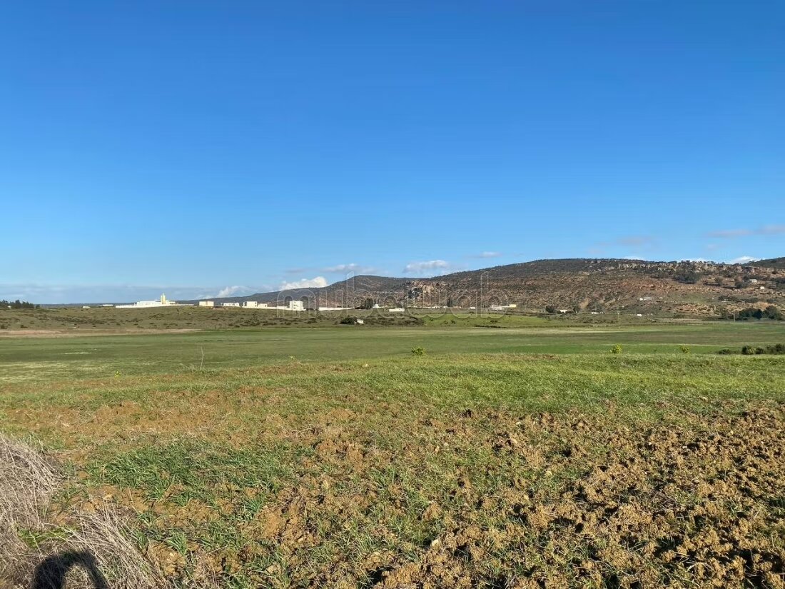 Terrain agricole 18 336 m² à vendre à Tanger — Photo 3