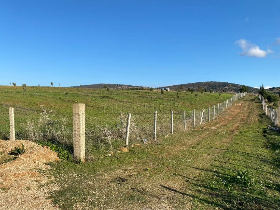 Terrain agricole 18 336 m² à vendre à Tanger — Photo 15