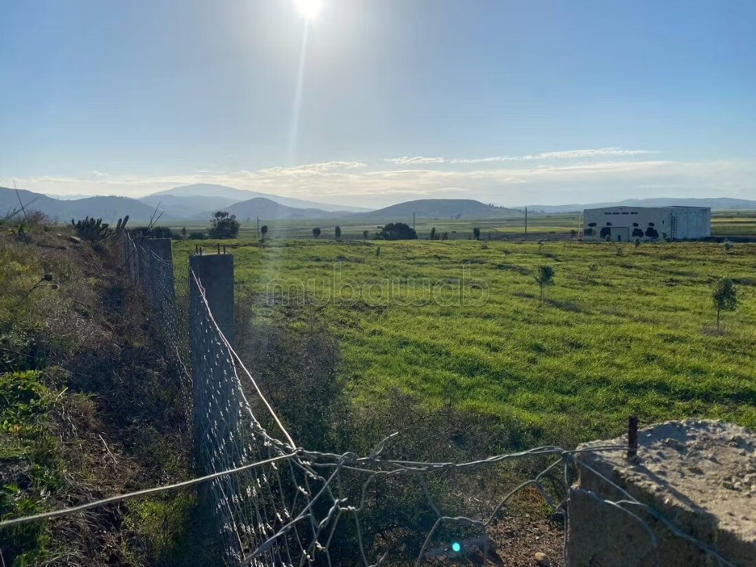 Terrain Agricole Titré près de Tanger ain jdioui