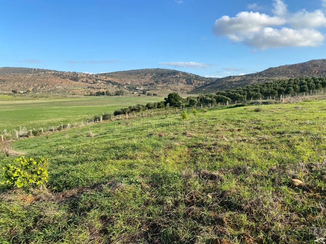 Terrain agricole 18 336 m² à vendre à Tanger — Photo 6