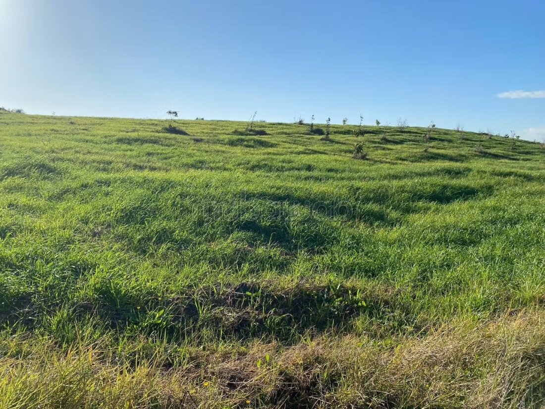 Terrain agricole 18 336 m² à vendre à Tanger — Photo 8