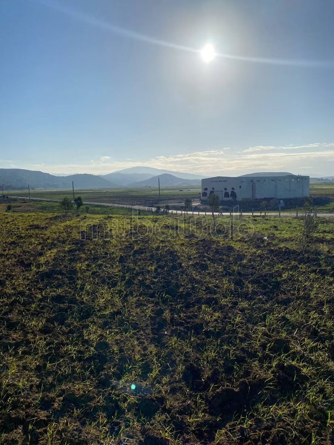 Terrain agricole 18 336 m² à vendre à Tanger — Photo 10