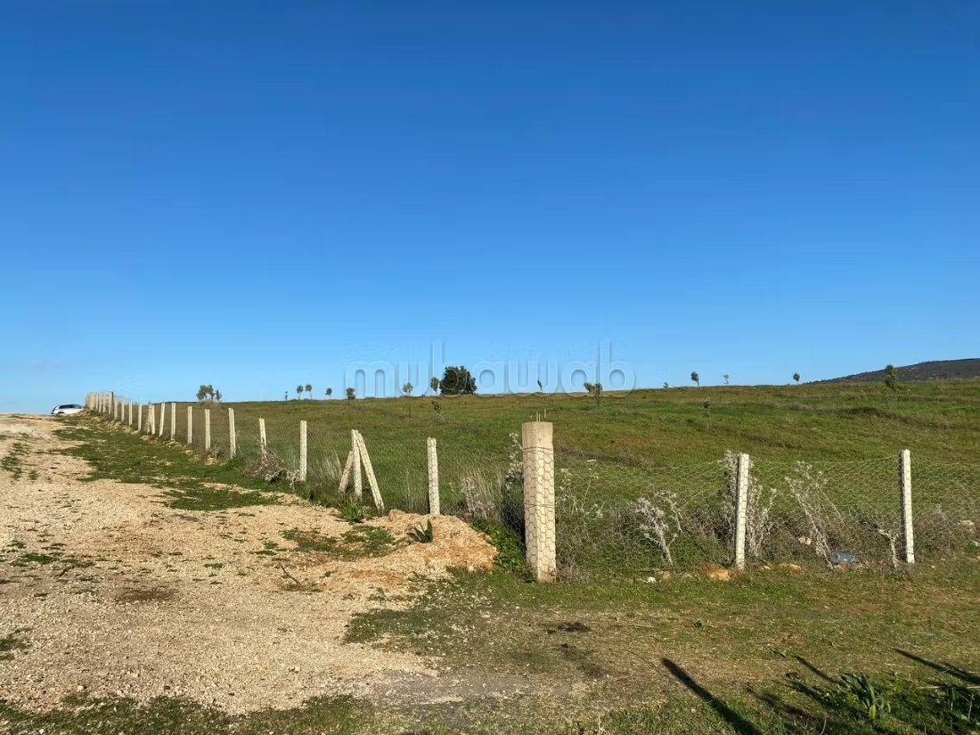 Terrain agricole 18 336 m² à vendre à Tanger — Photo 14