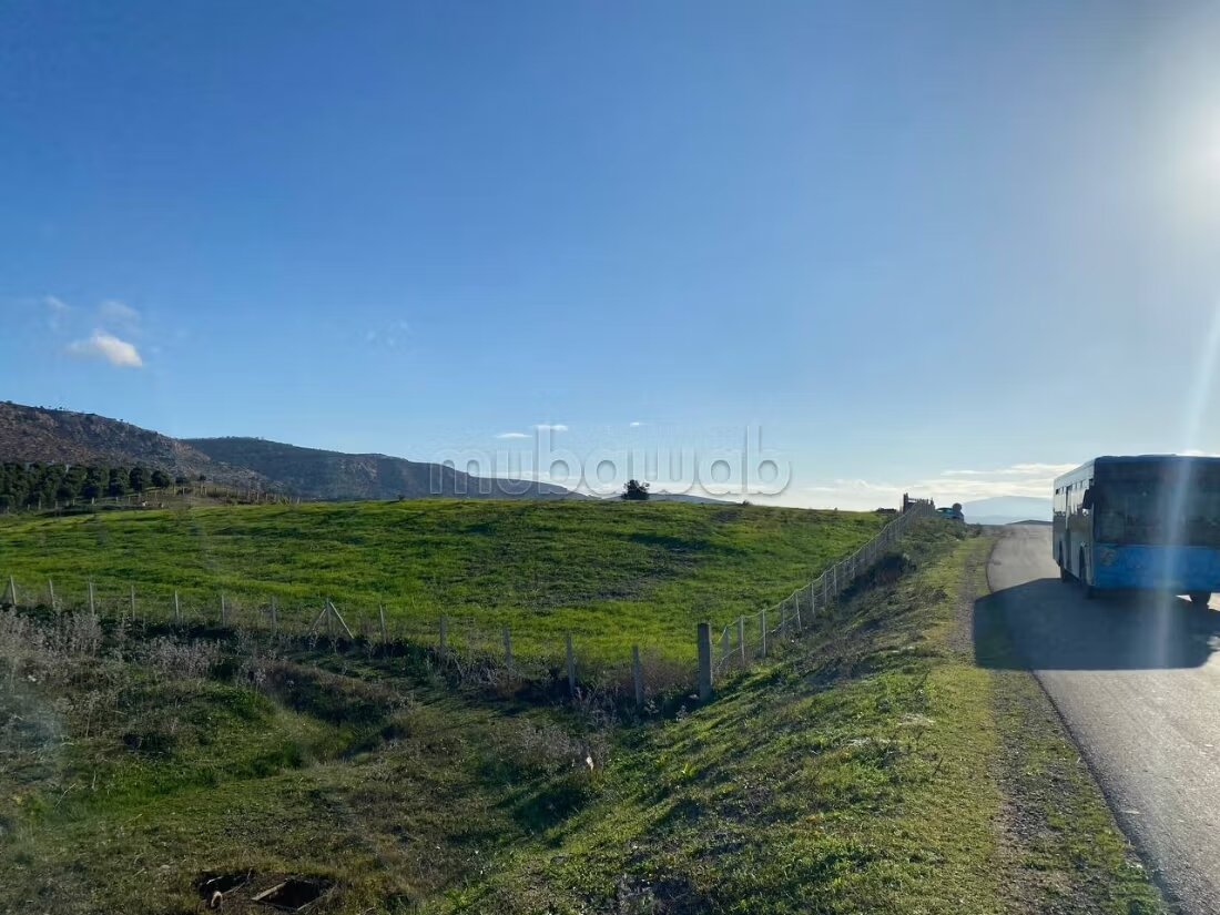 Terrain agricole 18 336 m² à vendre à Tanger — Photo 18