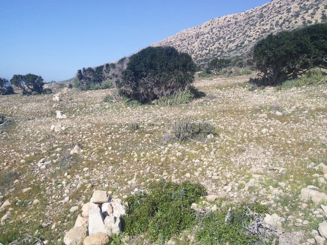 Land 1243 m² for sale in Cap Ghir — Photo 7
