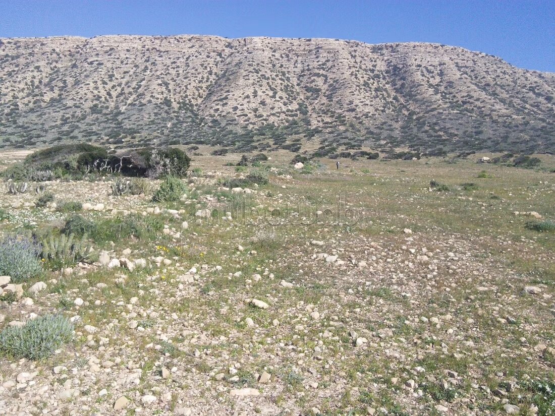 Land 1243 m² for sale in Cap Ghir — Photo 4