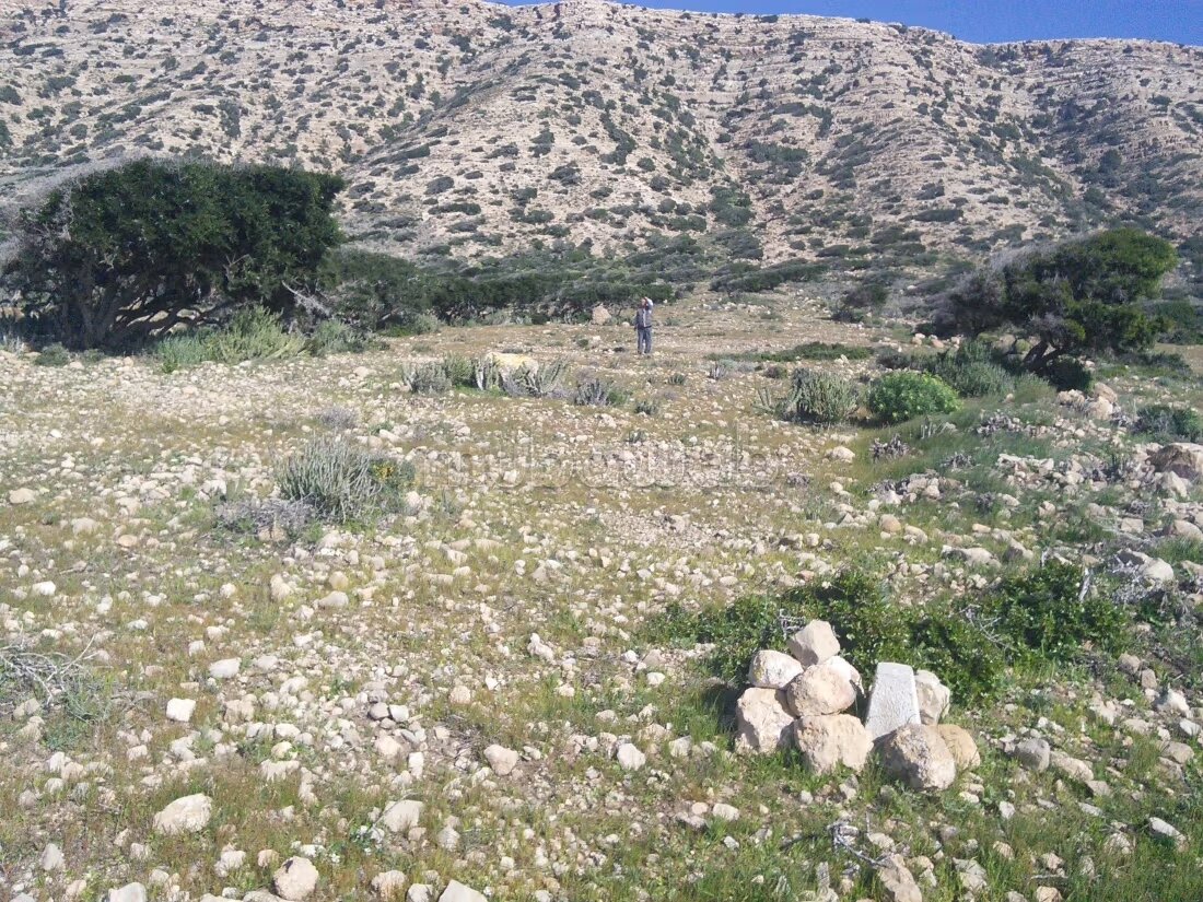 Land 1243 m² for sale in Cap Ghir — Photo 6
