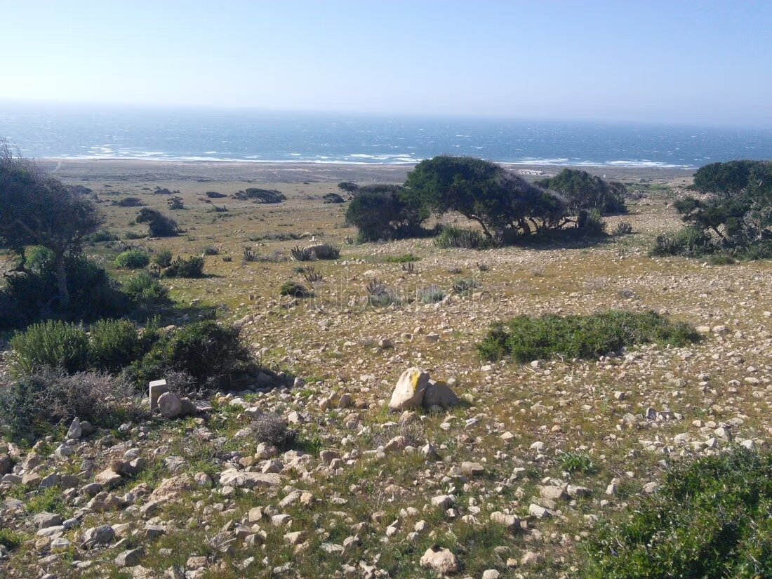 Land 1243 m² for sale in Cap Ghir — Photo 12