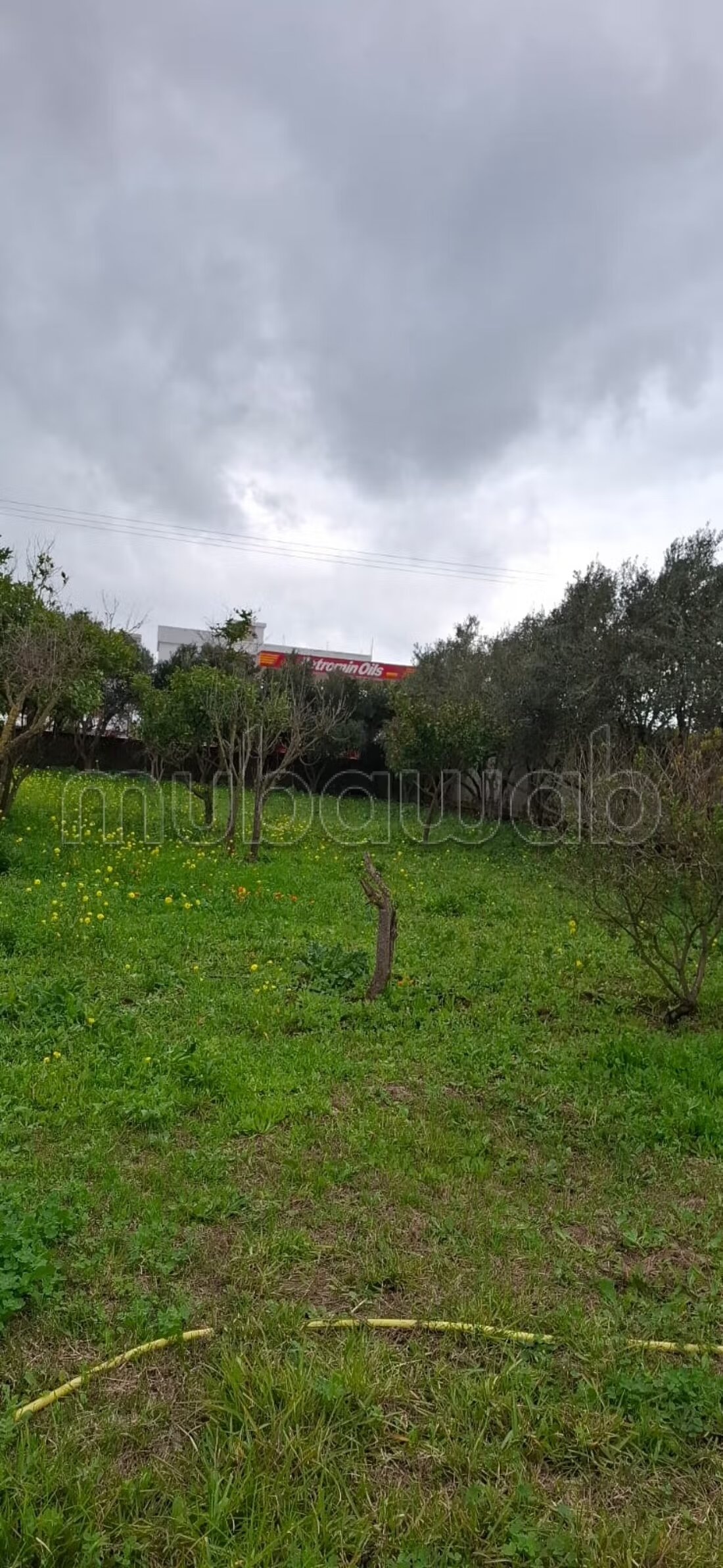 Ferme 200 m² à vendre à Casablanca — Photo 17