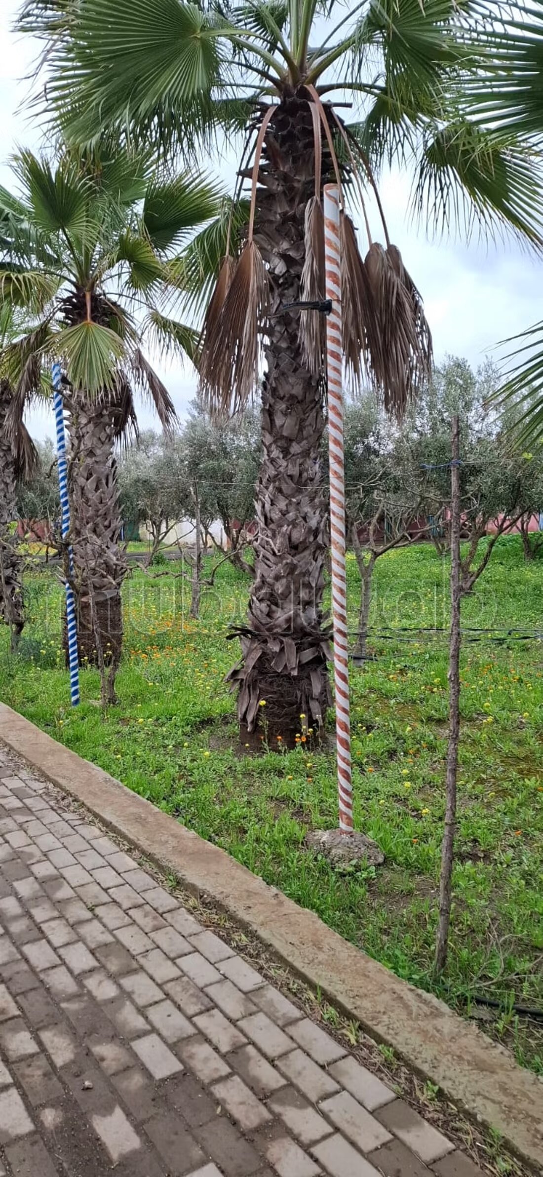 Ferme 200 m² à vendre à Casablanca — Photo 20