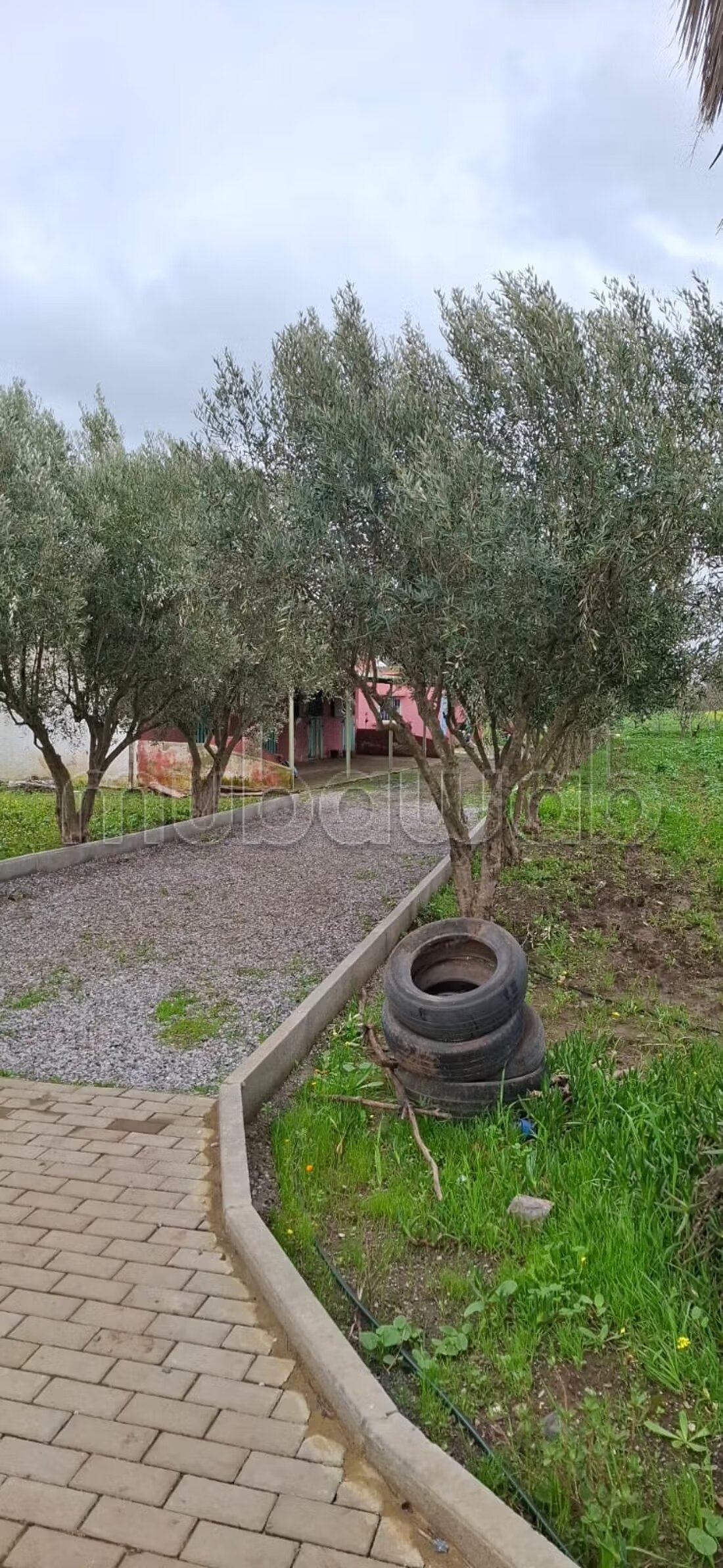 Ferme 200 m² à vendre à Casablanca — Photo 24