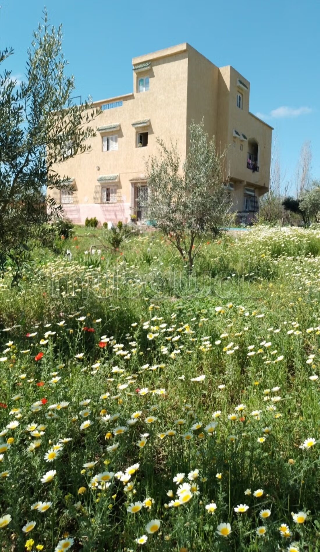 Villa 150 m² for sale in Ain Chkak — Photo 4