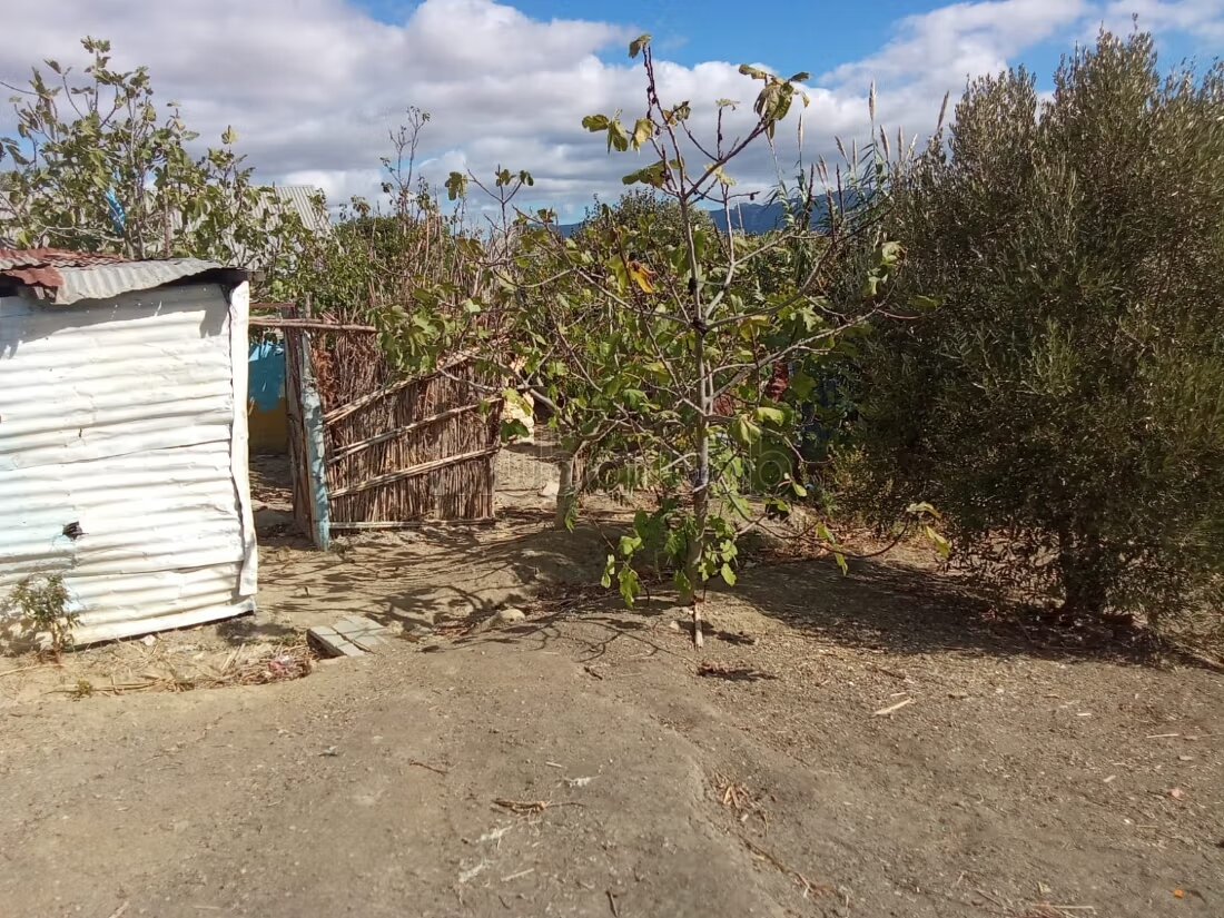 Ferme 1100 m² à vendre — Photo 9