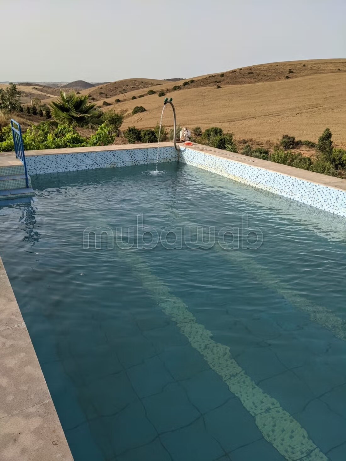 À Vendre – Ferme Agricole 1,5 Hectare, Région Tamesna / Sidi...