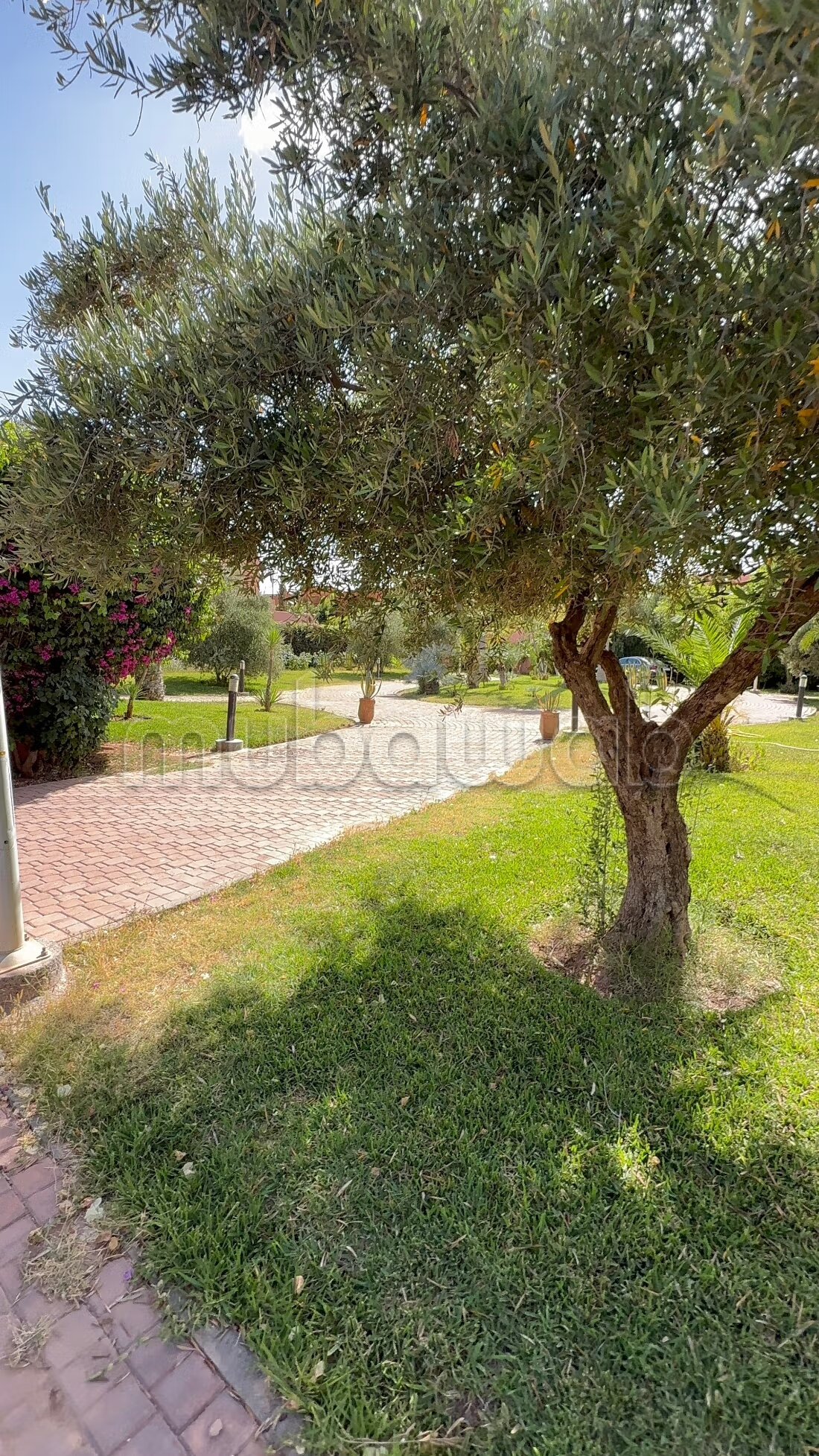 فيلا 320 م² للإيجار في مراكش — Photo 6