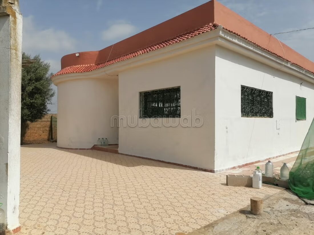 مزرعة 250 م² للبيع في الدار البيضاء — Photo 9