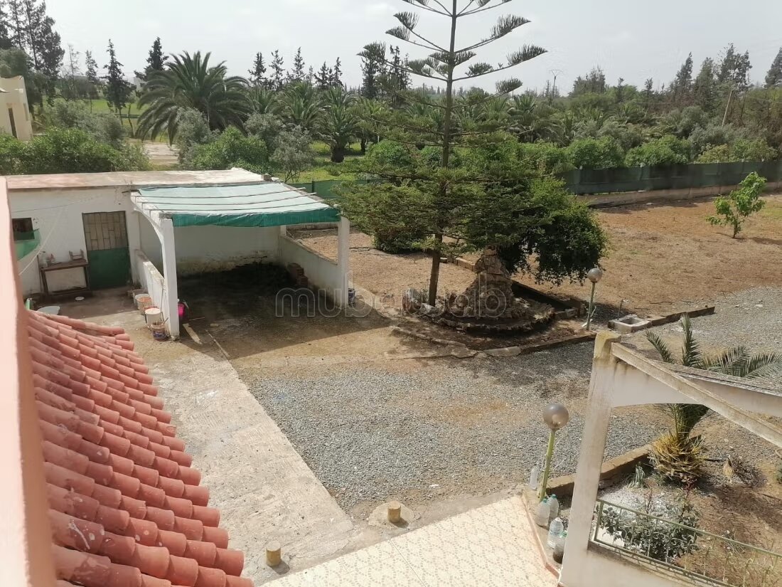 مزرعة 250 م² للبيع في الدار البيضاء — Photo 47