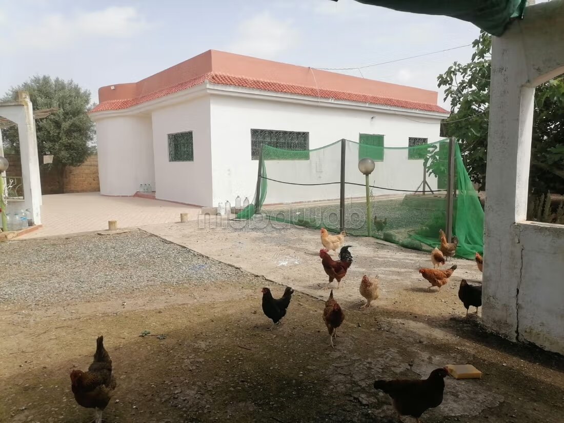 مزرعة 250 م² للبيع في الدار البيضاء — Photo 53