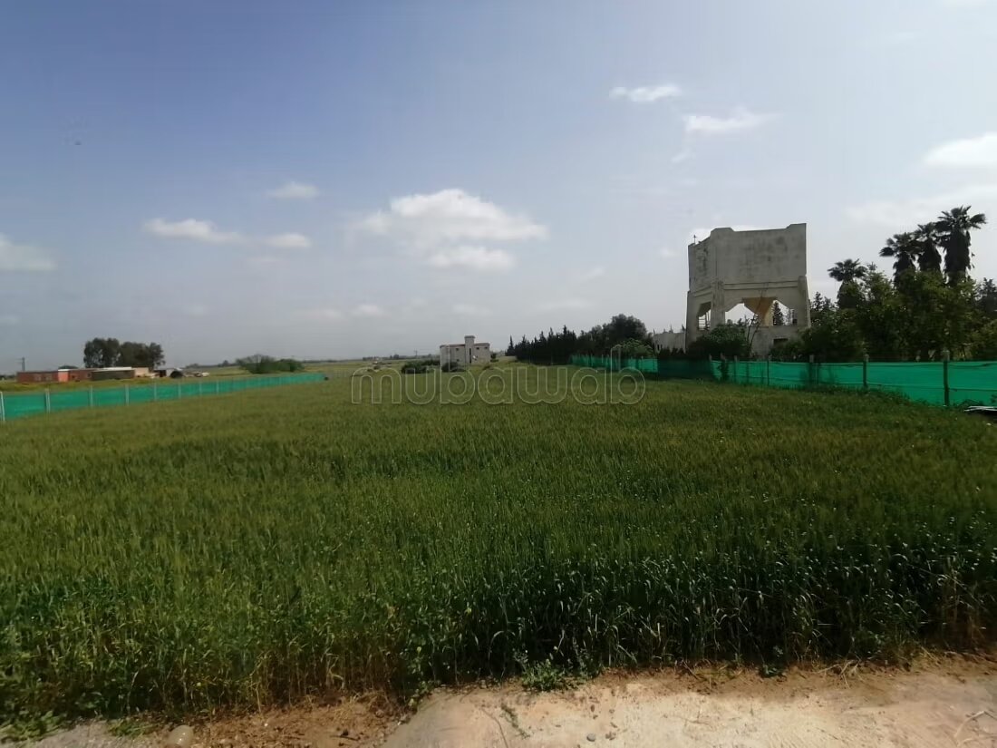مزرعة 250 م² للبيع في الدار البيضاء — Photo 57