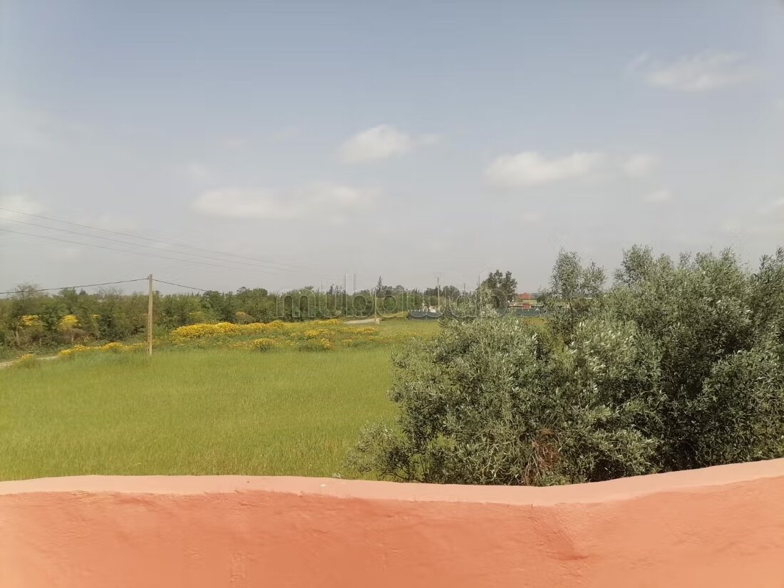 مزرعة 250 م² للبيع في الدار البيضاء — Photo 60