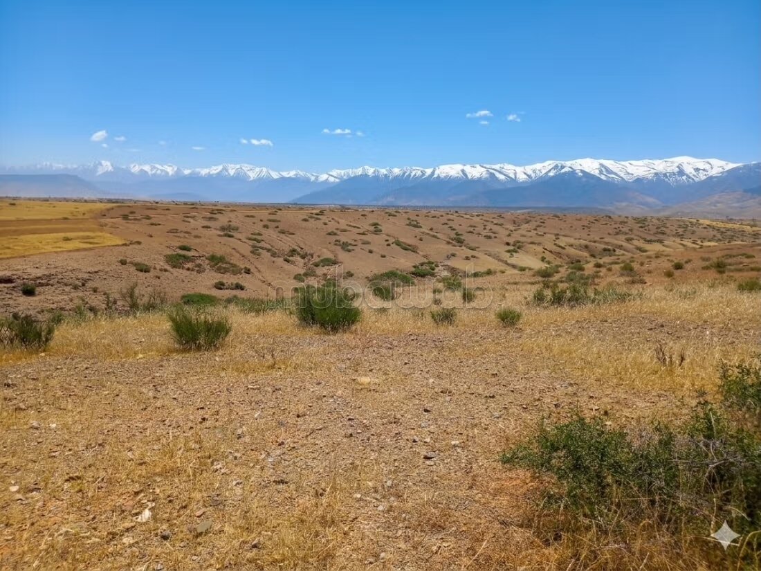 Terrain 6 ha à vendre à Marrakech — Photo 2