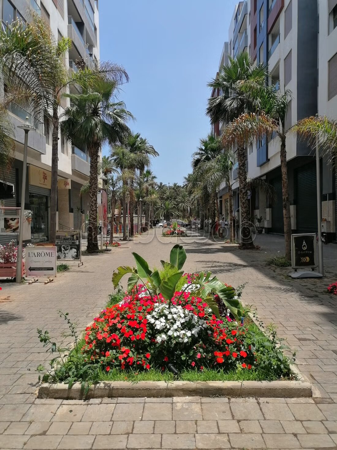 Appartement à vendre entre parc et océan à Mohammédia