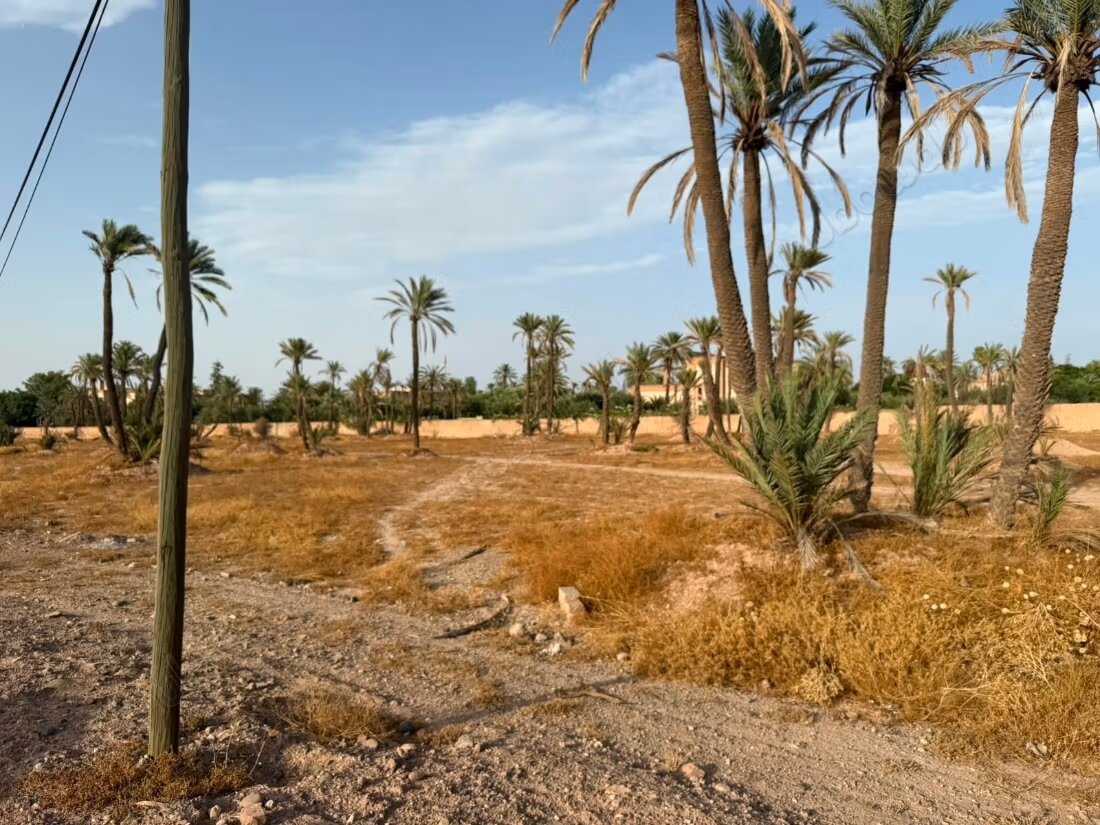 Land 15000 m² for sale in the Palmeraie, Marrakech — Photo 2