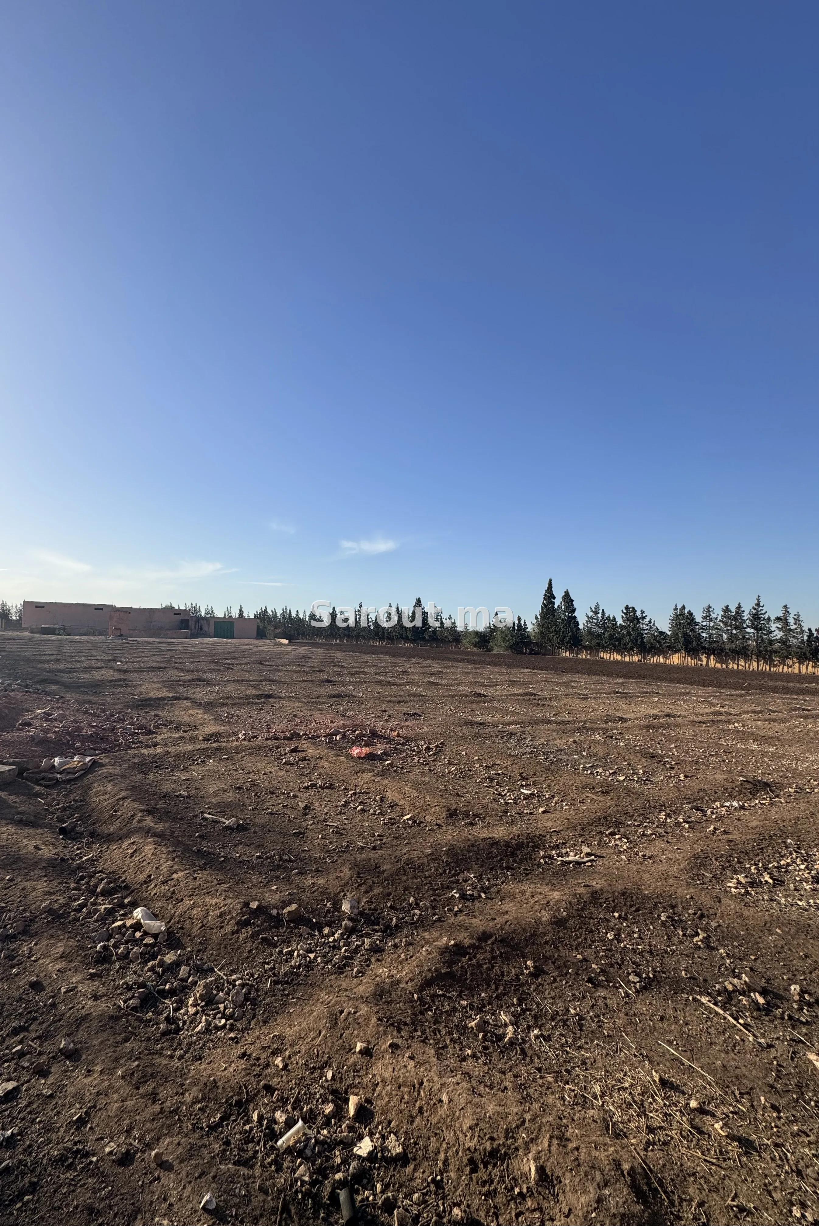 Propriété titrée 2 ha avec 3 hangars et villa – 10 km de Médiouna — Photo 3
